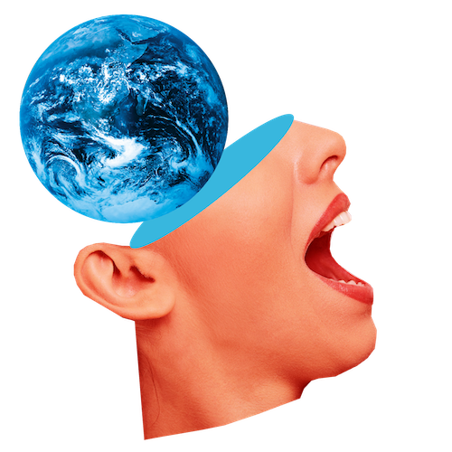 WHY lesbrief verkiezingen 2025 - hoofd